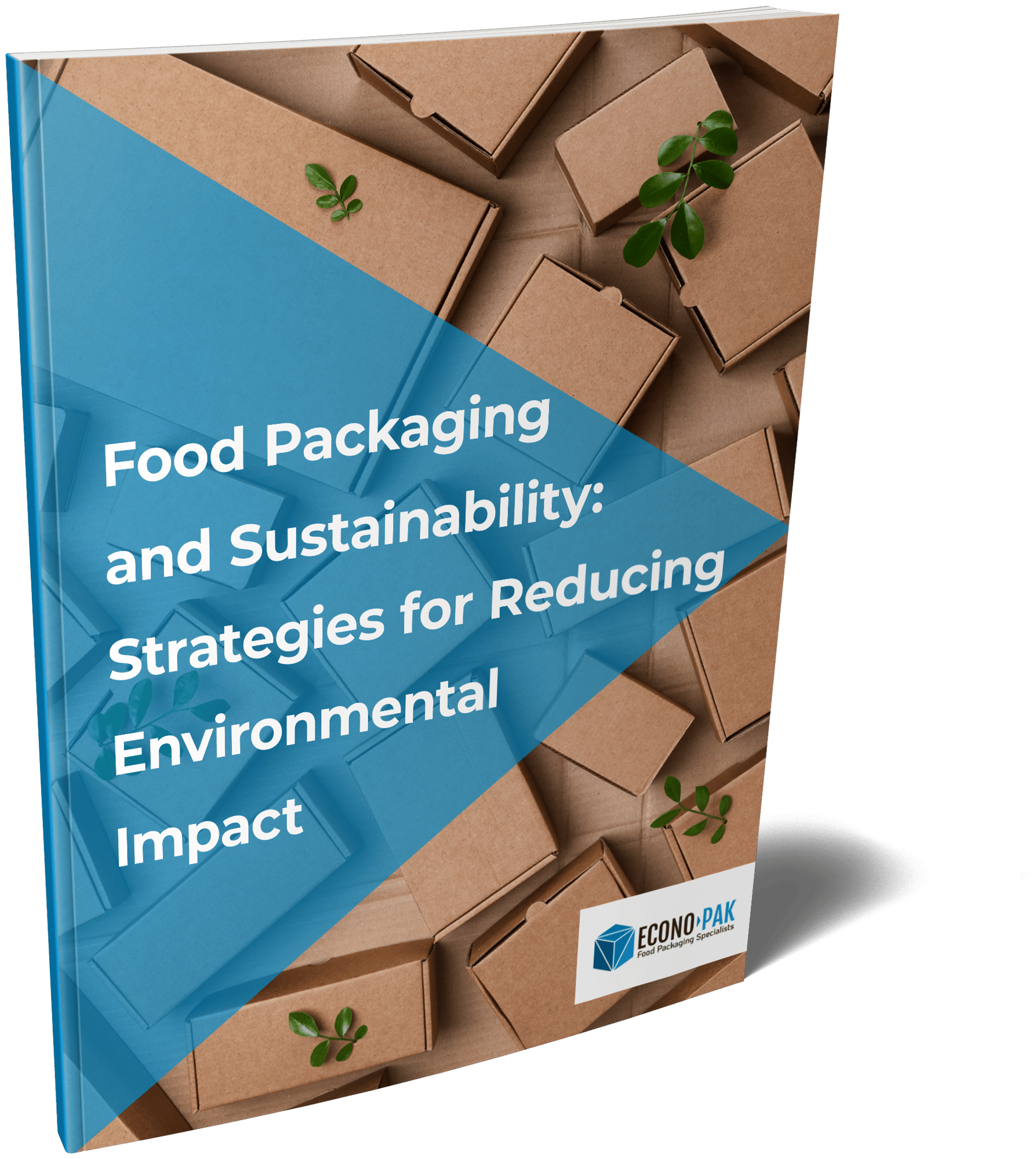 Food Packaging and Sustainability